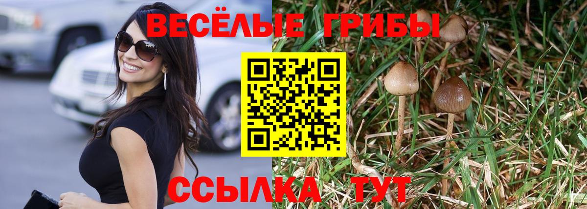 Псилоцибиновые грибы мухоморы Дубна